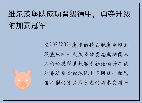 维尔茨堡队成功晋级德甲，勇夺升级附加赛冠军